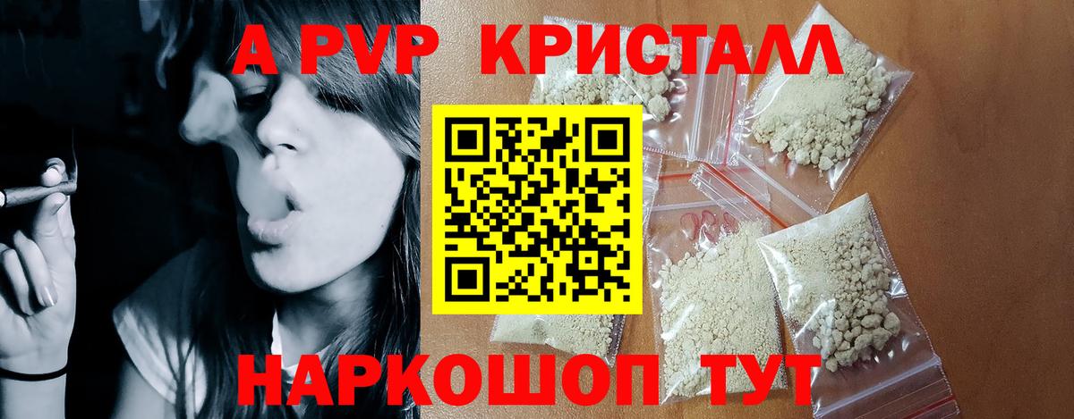 Альфа ПВП СК КРИС Юрга
