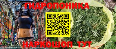 молекула духа Лесосибирск