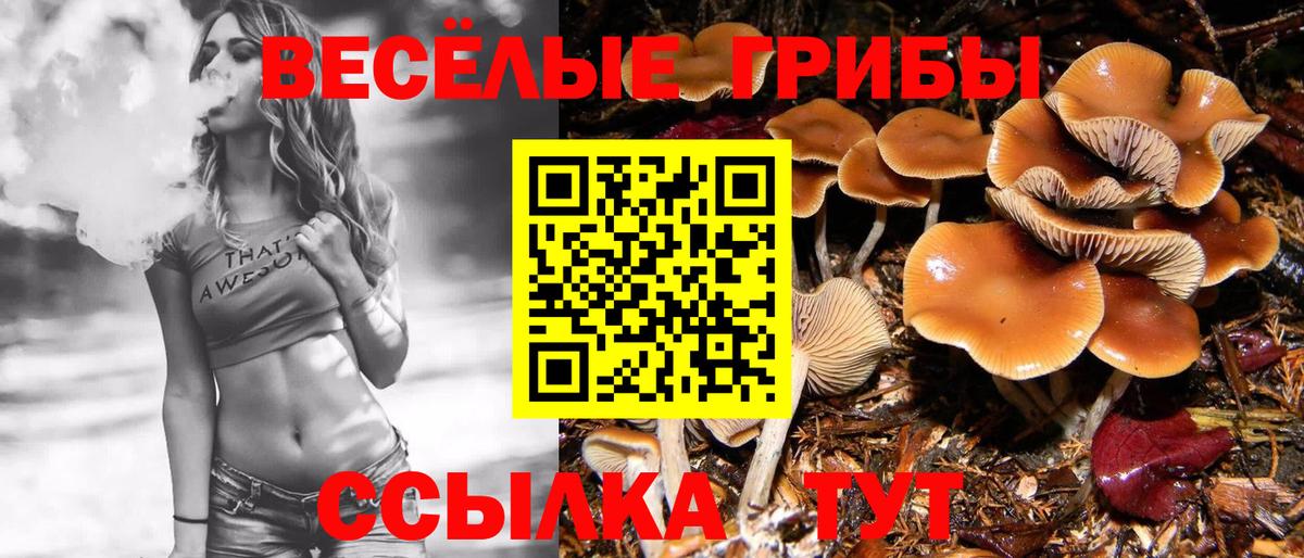 Псилоцибиновые грибы Magic Shrooms Юрга